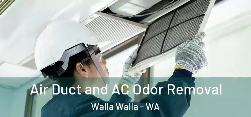  Air Duct and AC Odor Removal Walla Walla - WA