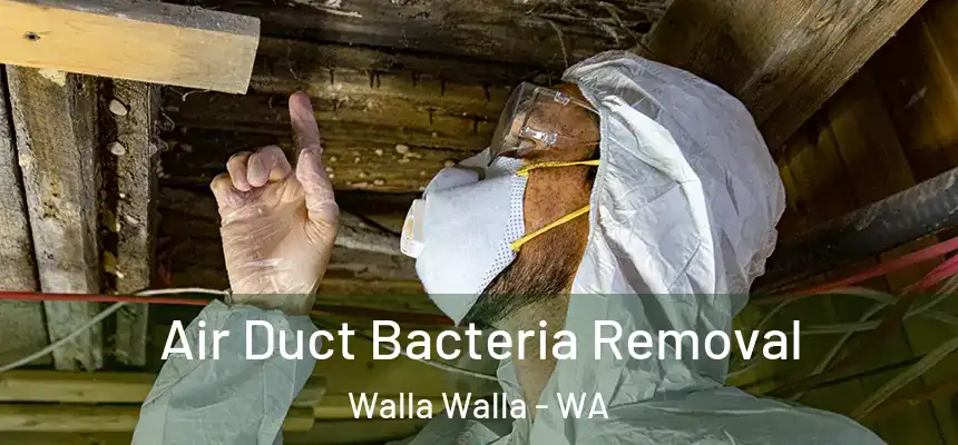 Air Duct Bacteria Removal Walla Walla - WA