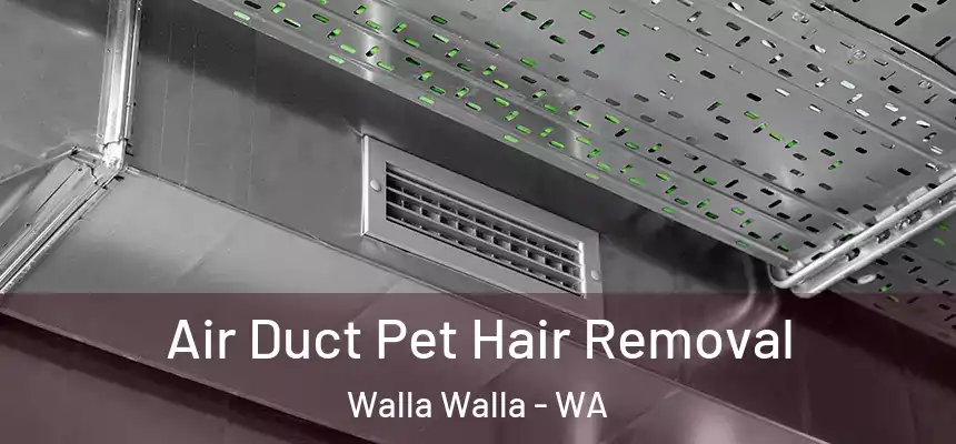 Air Duct Pet Hair Removal Walla Walla - WA