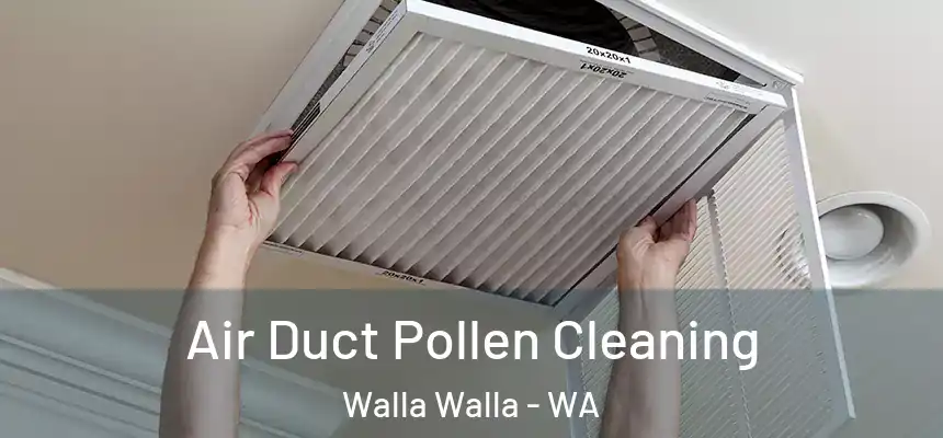 Air Duct Pollen Cleaning Walla Walla - WA