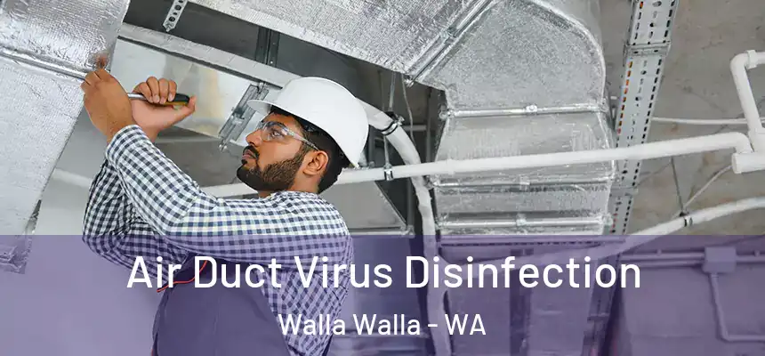 Air Duct Virus Disinfection Walla Walla - WA