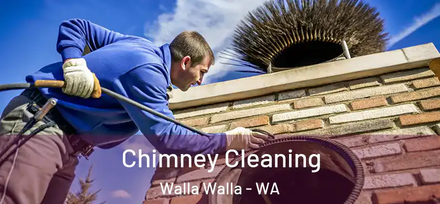 Chimney Cleaning Walla Walla - WA