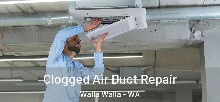  Clogged Air Duct Repair Walla Walla - WA