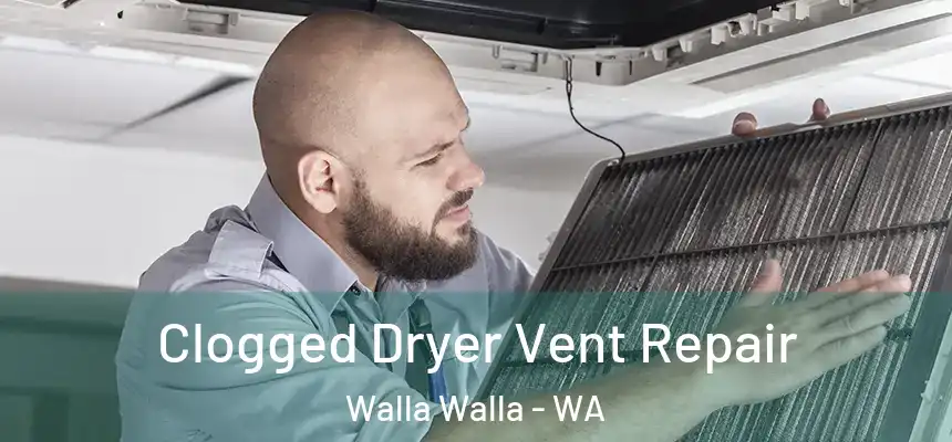 Clogged Dryer Vent Repair Walla Walla - WA