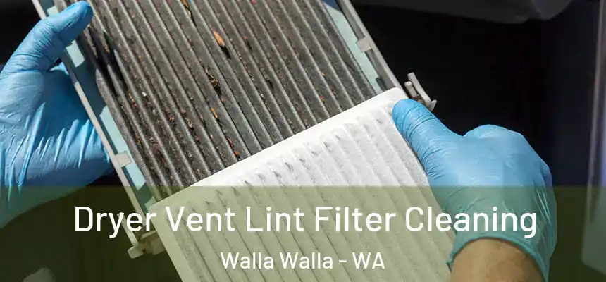  Dryer Vent Lint Filter Cleaning Walla Walla - WA