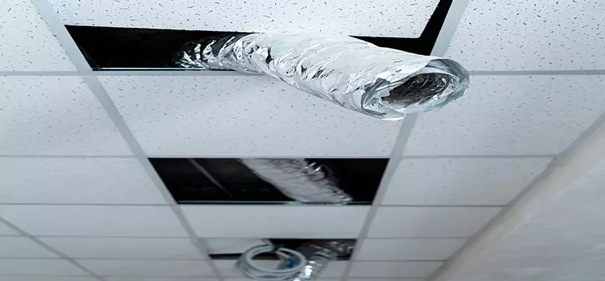 Affordable HVAC Sanitizing After Pest Removal in Walla Walla