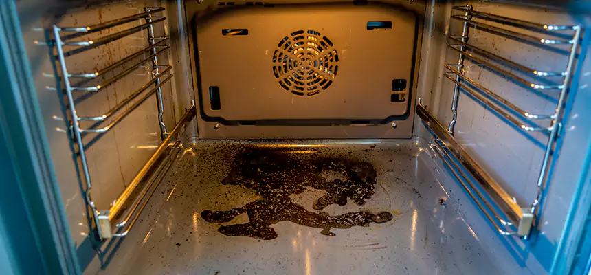 Our Dryer Vent Mold Cleaning Services in Walla Walla, WA