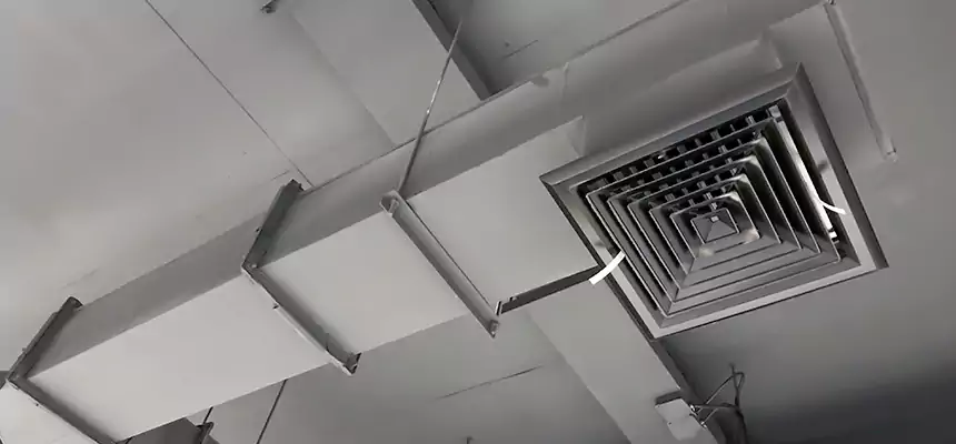 Our Rodent Droppings In Vents Services in Walla Walla, WA