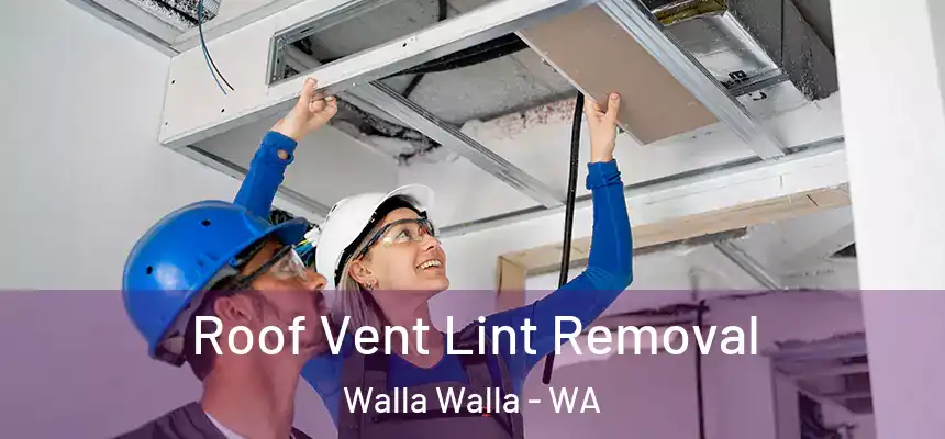  Roof Vent Lint Removal Walla Walla - WA