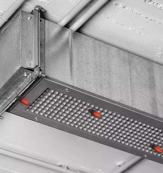 About Air Duct Cockroach Removal in Walla Walla, WA