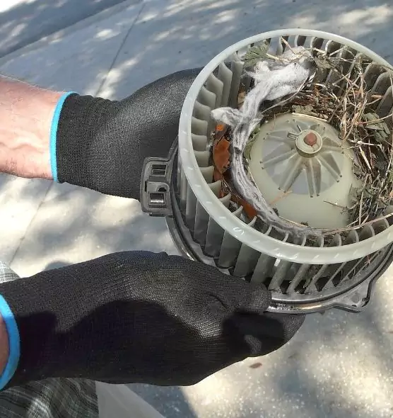 About Air Duct Rat Removal in Walla Walla, WA