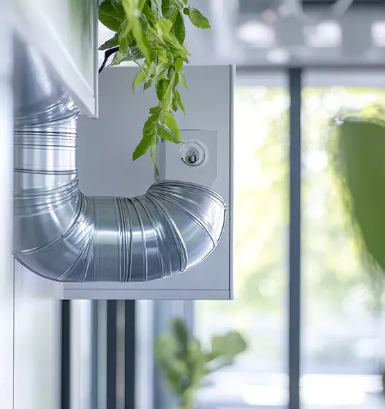 Professional Eco-Friendly Duct Cleaning Services in Walla Walla, WA