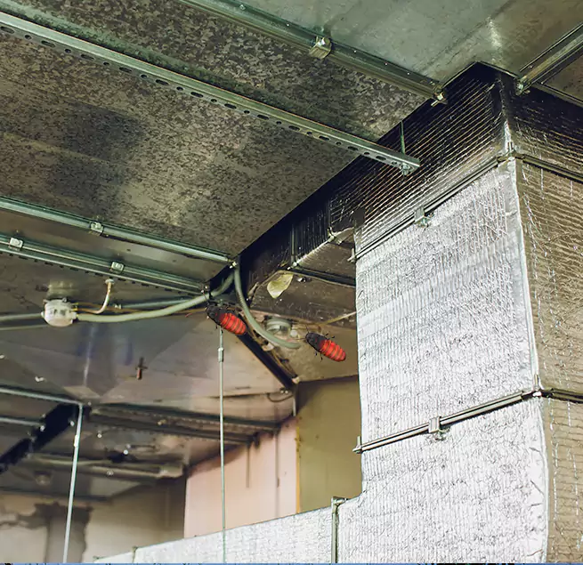 Why Homeowners & Businesses Trust Us in Walla Walla, WA?