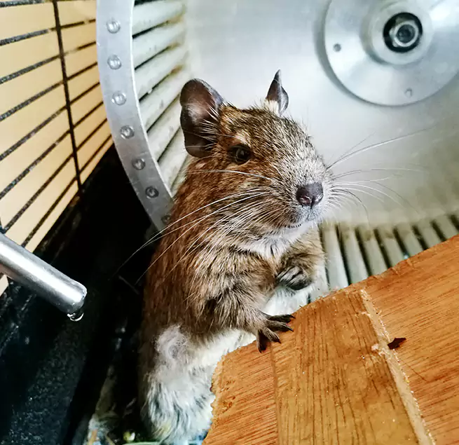 Why Homeowners & Businesses Trust Us Walla Walla, WA