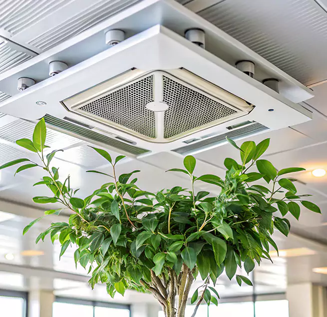 Why Homeowners & Businesses Trust Us in Walla Walla, WA?