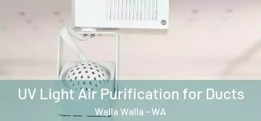  UV Light Air Purification for Ducts Walla Walla - WA